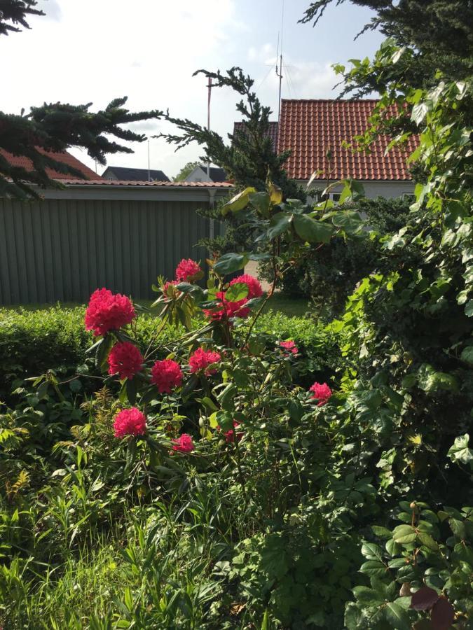 Anneks Til Bondehus Lägenhet Randers Exteriör bild